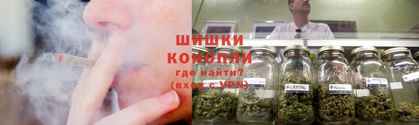 метадон Алексин