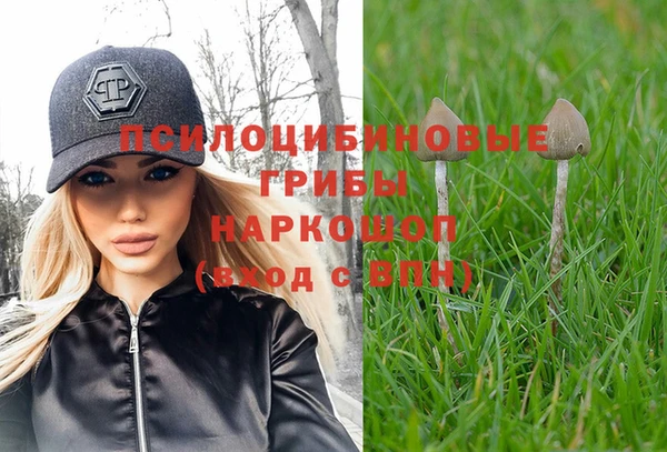 метадон Алексин