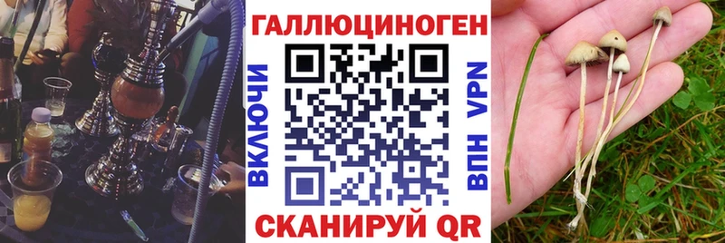 Псилоцибиновые грибы Magic Shrooms  Рыбное 